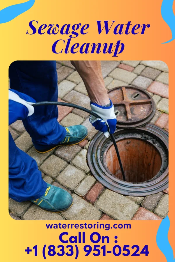 Sewage Water Cleanup in Biltmore Forest, NC