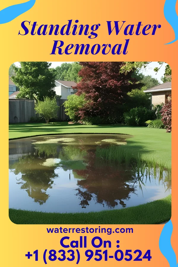 Standing Water Removal in Biltmore Forest, NC